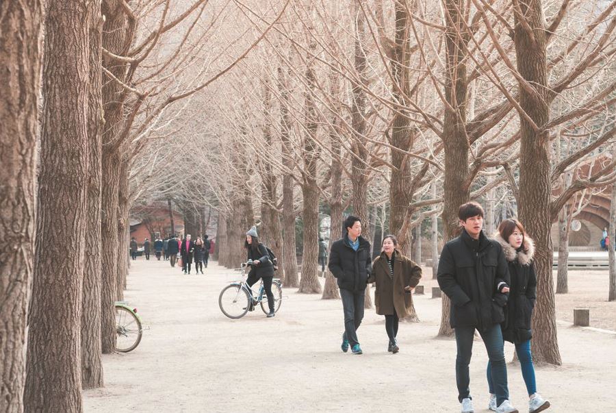 Hình ảnh tour Tour Hàn Quốc - Đón Giáng Sinh 5N4D  0+1