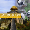 Đô Giang Yển, Gấu Trúc, Tứ Xuyên, Xuyên Chủ Tự