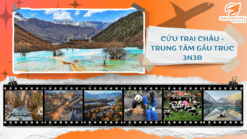 THÀNH ĐÔ - CỬU TRẠI CÂU- ĐÔ GIANG YỂN - TRUNG TÂM GẤU TRÚC