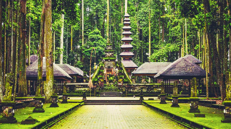 Rừng khỉ Ubud