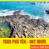 Quy Nhơn- Phú Yên- Hoa Vàng Trên Cỏ Xanh