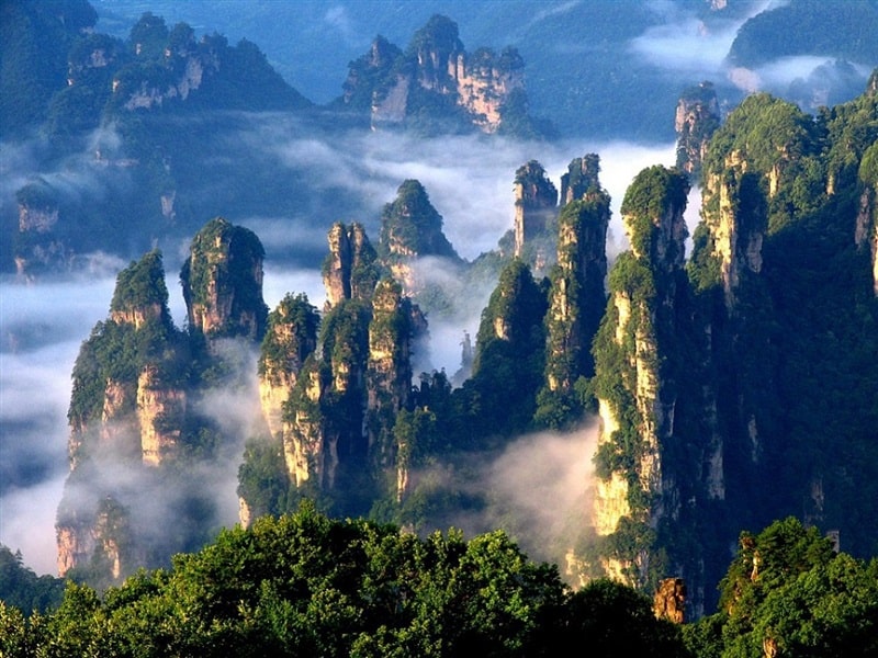 TRƯƠNG GIA GIỚI