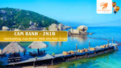 Teambuilding, Gala Dinner, Vườn Nho Ninh Thuận