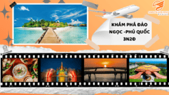 PHÚ QUỐC - 3N2Đ | HÀNH TRÌNH KHÁM PHÁ ĐẢO NGỌC