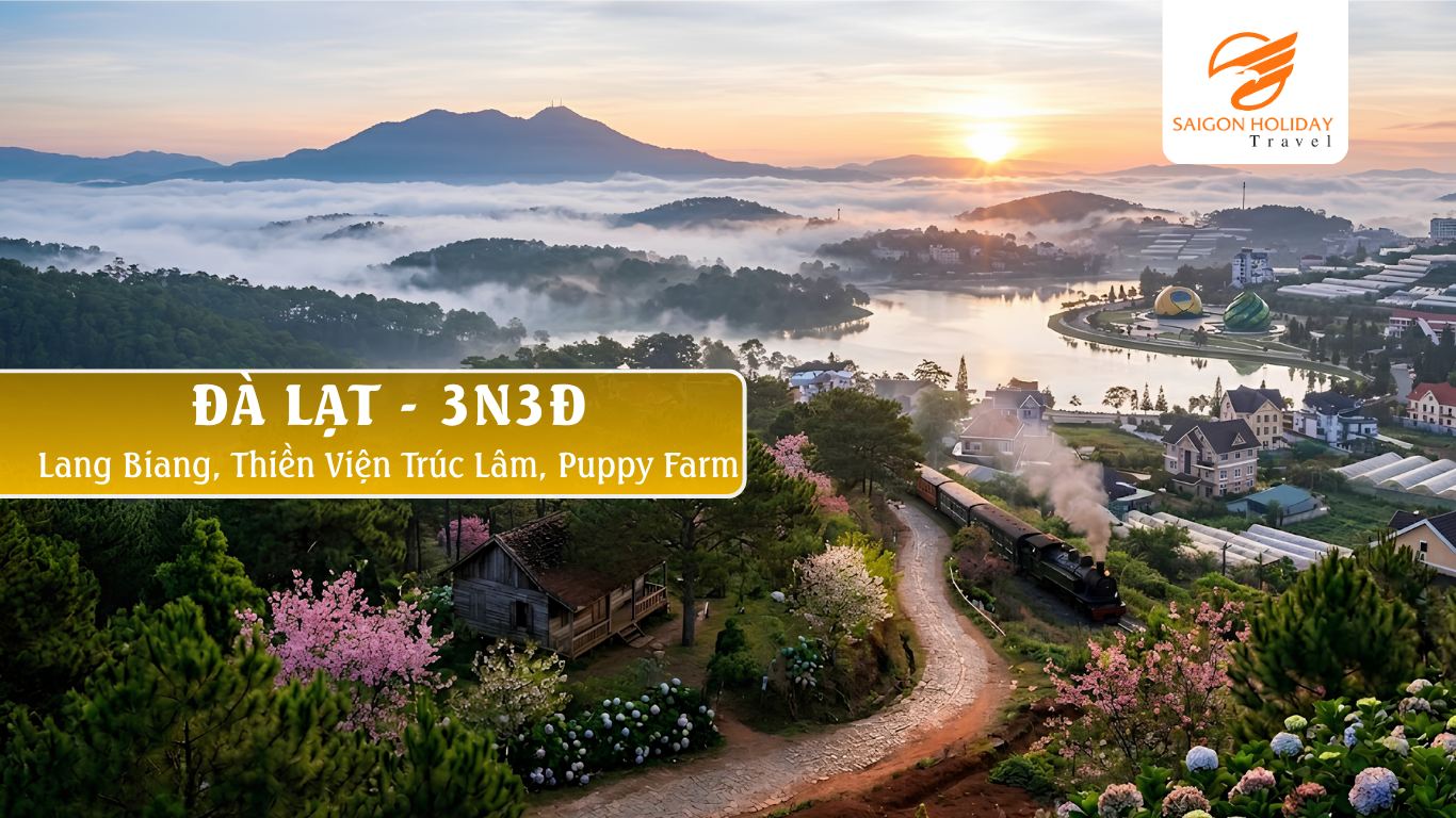 DA LAT 3N3D CAO NGUYEN CUA NHUNG GIAC MO