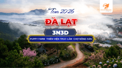 Đà Lạt là địa điểm du lịch mộng mơ nổi tiếng, thu hút nhiều du khách bởi thời tiết, phong cảnh say đắm lòng người