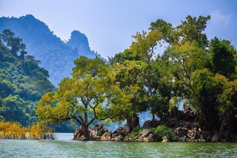 Đảo Bà Góa nằm giữa Hồ Ba Bể, nổi bật với hình dáng độc đáo giữa mặt hồ xanh biếc, tạo nên điểm nhấn cảnh quan ấn tượng của vùng Đông Bắc Việt Nam.