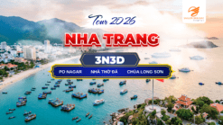Hành trình khám phá Nha Trang, thiên đường biển đảo đầy sức hút