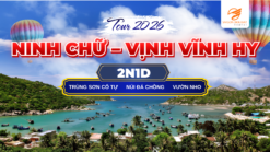Bạn đang tìm kiếm một "khoảng lặng" giữa nhịp sống hối hả? Hãy để hành trình 2 ngày 1 đêm tại Ninh Chữ – Vịnh Vĩnh Hy đánh thức mọi giác quan của bạn. Không chỉ là một chuyến đi, đây là sự kết hợp hoàn hảo giữa vẻ đẹp hoang sơ của tạo hóa và không gian nghỉ dưỡng thanh bình tại vùng đất nắng gió Ninh Thuận.