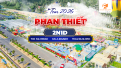 Cùng đồng đội bùng nổ năng lượng tại Phan Thiết với chuỗi hoạt động teambuilding sôi động trên bãi biển, kết hợp nghỉ dưỡng và khám phá những điểm đến nổi tiếng
