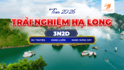 Khám phá vẻ đẹp kỳ vĩ của Vịnh Hạ Long với hàng nghìn đảo đá độc đáo giữa làn nước xanh biếc