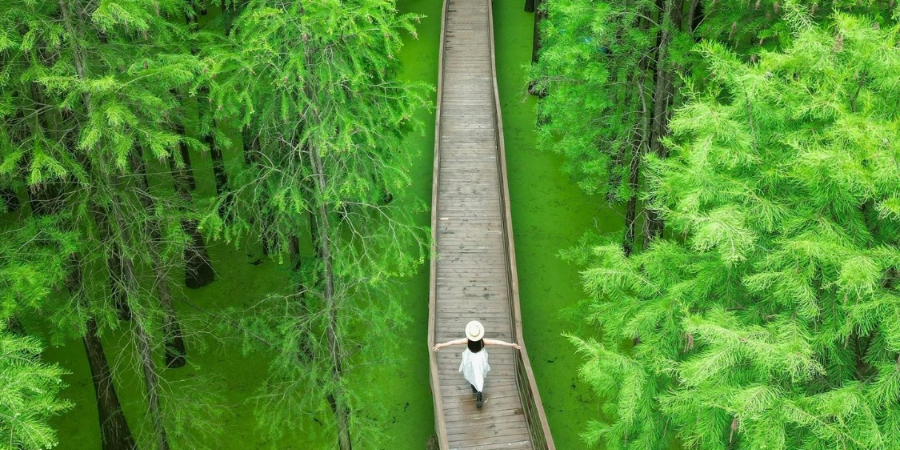 HỒ THANH SƠN