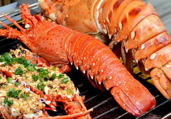Hải Sản Tươi Rói