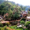 Bản Cát Cát hiện ra như một bức tranh thổ cẩm mộc mạc giữa thung lũng, nơi du khách được hóa thân thành đồng bào người Mông và lắng nghe tiếng suối chảy rì rào qua những guồng nước gỗ cổ xưa.