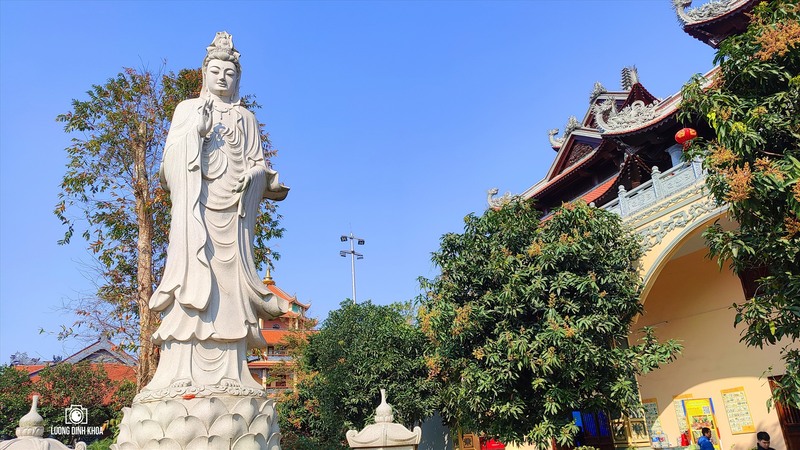 Chùa Long Hưng là điểm đến tâm linh thanh tịnh trên hành trình khám phá Đảo Bình Hưng, mang không gian yên bình, giúp du khách tìm về sự an yên giữa thiên nhiên biển đảo hoang sơ.