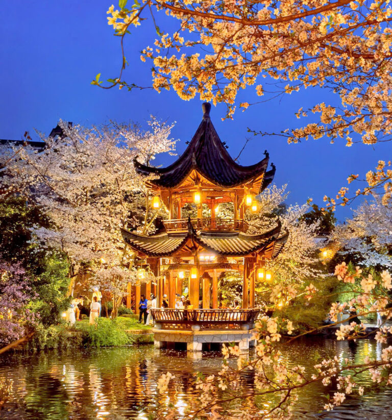 Toàn cảnh vẻ đẹp thơ mộng của Tây Hồ Hàng Châu Trung Quốc với rặng liễu rủ bên bờ hồ cổ kính.