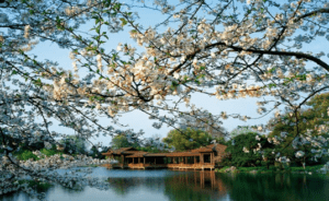 Mùa xuân ở Hàng Châu mang sắc hoa đào rực rỡ và tiết trời se lạnh thơ mộng, là thời điểm lý tưởng nhất để du lịch Trung Quốc.