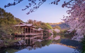 Mùa xuân ở Hàng Châu, đặc biệt là Tây Hồ, là thời điểm tuyệt vời để khám phá vẻ đẹp của thiên đường hạ giới