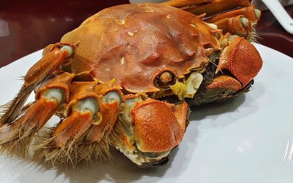 Món cua lông đặc sản thượng hạng khi đi du lịch Thượng Hải, gợi ý ẩm thực độc đáo trong kinh nghiệm du lịch thượng hải trùng khánh tự túc giúp bạn so sánh nên đi thượng hải hay trùng khánh hoặc du lịch Trùng Khánh.