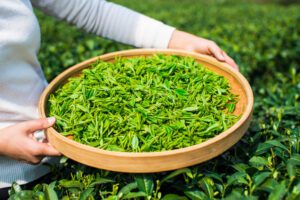Trải nghiệm văn hóa trà Long Tỉnh
