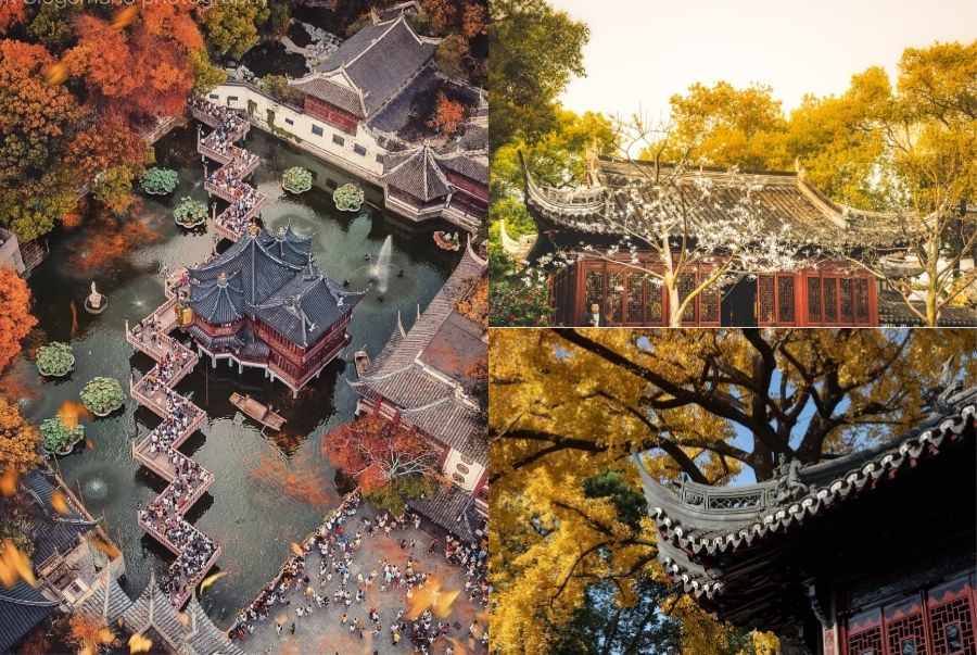 Dự Viên (Yu Garden) là điểm đến nổi tiếng khi du lịch Thượng Hải mùa thu. Vào mùa thu, khu vườn cổ hơn 400 năm tuổi khoác lên mình sắc vàng của cây cối, kết hợp cùng hồ nước, cầu đá và kiến trúc truyền thống Trung Hoa tạo nên khung cảnh thơ mộng. Đây là một trong những địa điểm check-in mùa thu Thượng Hải được nhiều du khách yêu thích và thường xuất hiện trong các tour khám phá Thượng Hải.