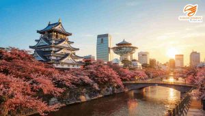 Osaka có gì hấp dẫn - Lâu đài Osaka rực rỡ mùa hoa anh đào