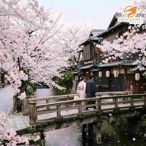 Du lịch Nhật Bản mùa nào đẹp nhất - Hoa anh đào nở rộ mùa xuân bên cầu gỗ cổ kính