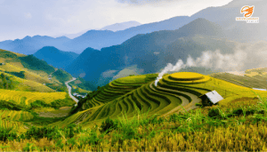 Mù Cang Chải mùa lúa chín tháng 9