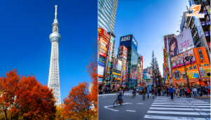 Tokyo Skytree và Akihabara