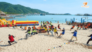 Lịch trình phù hợp với nhu cầu của doanh nghiệp