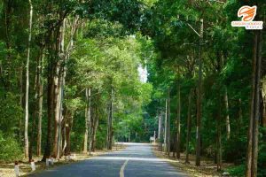 Hồ Tràm - Bình Châu - Thiên nhiên Bình Châu - Phước Bửu xanh mát với những cung đường rợp bóng cây