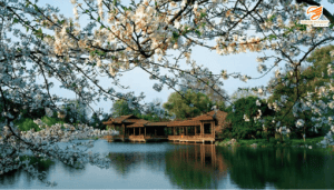 Hàng Châu – Sắc màu thơ mộng bên Tây Hồ