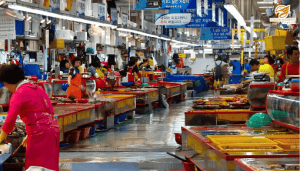 Jagalchi – khu chợ hải sản nổi tiếng của thành phố Busan